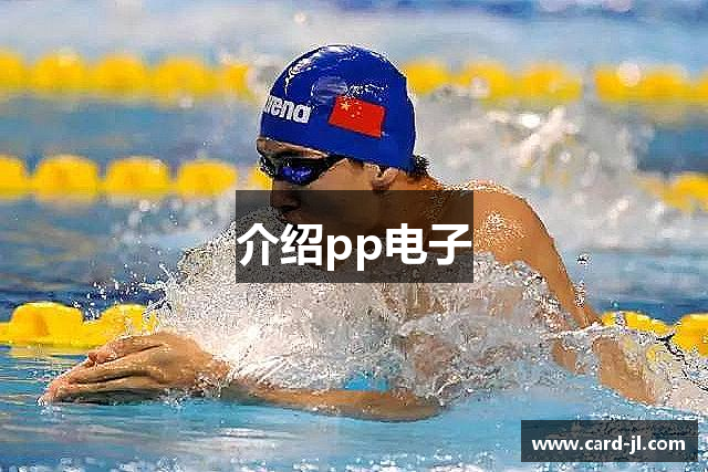 介绍pp电子