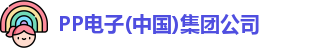 pp电子
